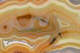 Colorful, Polished Condor Agate Section - Argentina #145519-1